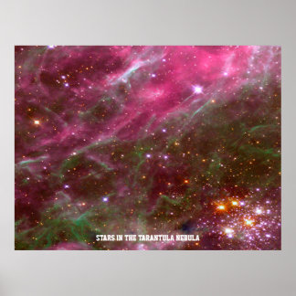 Sterne des Tarantula-Nebels Pink-Blauer-Werteposte Poster