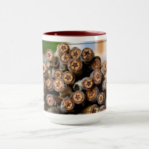 Sterne entlang der Rio Grande Baumwollbaumen Tasse