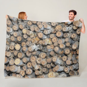 Sterne entlang der Rio Grande Cotton Wood Trees Ta Fleecedecke