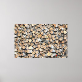 Sterne entlang der Rio Grande Cotton Wood Trees Ta Leinwanddruck