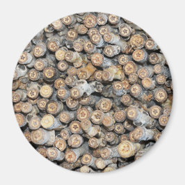 Sterne entlang der Rio Grande Cotton Wood Trees Ta Magnet