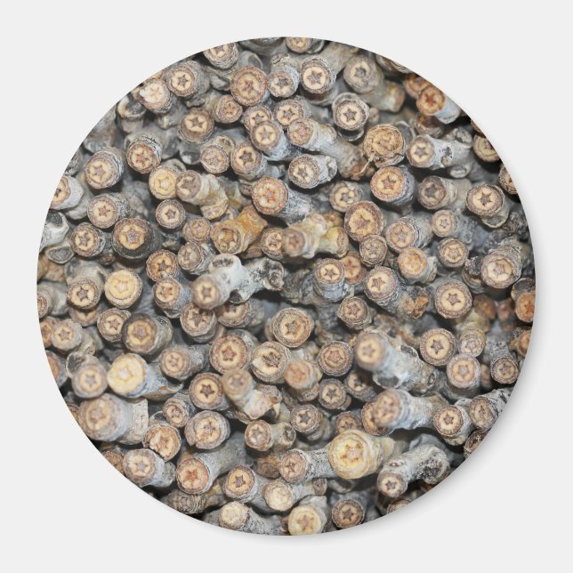 Sterne entlang der Rio Grande Cotton Wood Trees Ta Magnet (Vorne)
