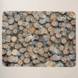 Sterne entlang der Rio Grande Cotton Wood Trees Ta Sherpadecke