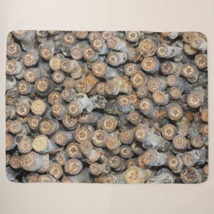 Sterne entlang der Rio Grande Cotton Wood Trees Ta Sherpadecke