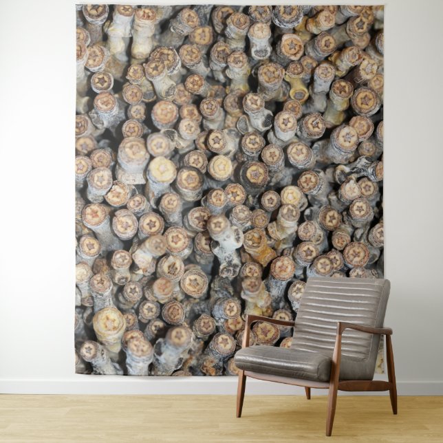 Sterne entlang der Rio Grande Cotton Wood Trees Ta Wandteppich (Beispiel)