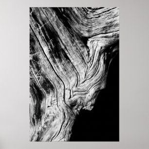 Sterne sagen so poster