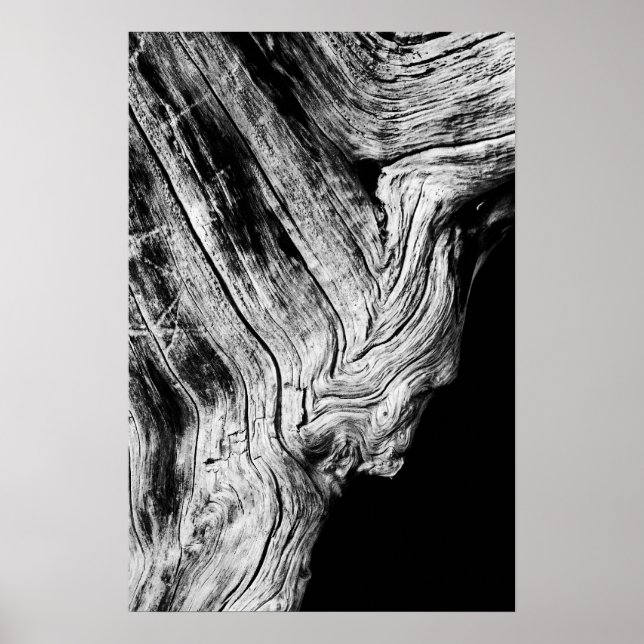 Sterne sagen so poster (Vorne)