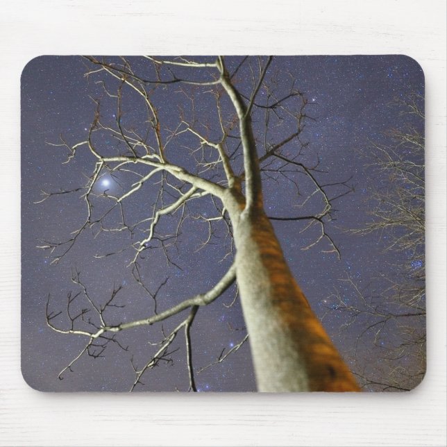 Sternenbaum_Mauspad Mousepad (Vorne)