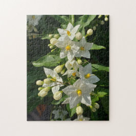 Sternenburst-Garten-Blüten-Puzzle