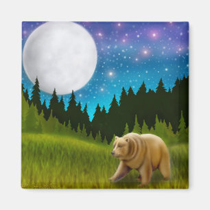 Sternenklarer Himmel-Graubär-Magnet Magnet