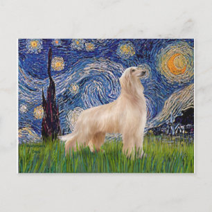 Sternennacht - Afghanischer Windhund (Creme-Stand) Postkarte