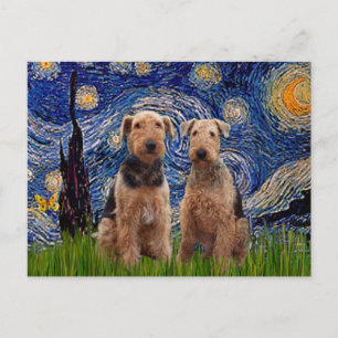 Sternennacht - Airedale Terrier (zwei) Postkarte