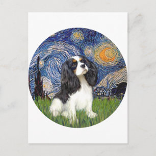 Sternennacht - Drei Cavalier #5 Postkarte