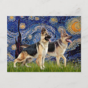 Sternennacht - Zwei Deutsche Schäferhunde Postkarte