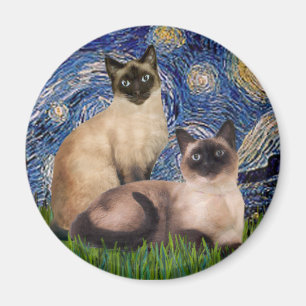 Sternennacht - Zwei siamesische Katzen (Choc Pt) Magnet
