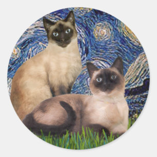 Sternennacht - Zwei siamesische Katzen (Choc Pt) Runder Aufkleber