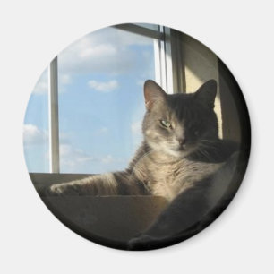 Sternfenster-Magnet Magnet