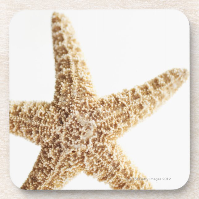 Sternfische Getränkeuntersetzer (Vorderseite)