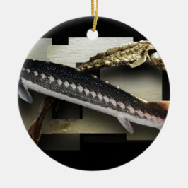 Sternförmige Collage des Stör-3D Keramikornament