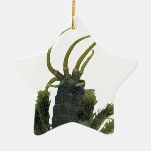 Sternförmige Polychaete-Wurm-Weihnachtsverzierung Keramikornament (Vorne)