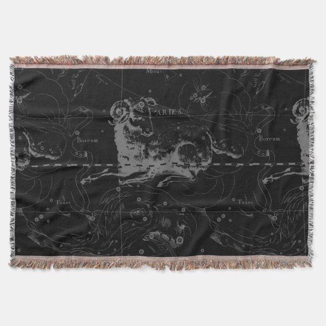Sternkonstellation Hevelius um 1690 Decke (Vorderseite)