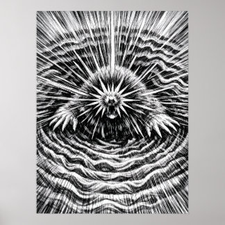 Sternnasenmaulwurf-Erdenvibrationen-Kunst Poster