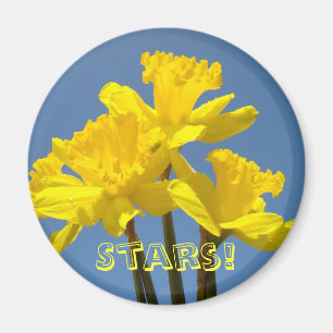 Sterns! Gelbe Daffodils Magnete Blue Sky Floral Magnet