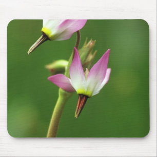Sternschnuppen-Wildblume, Kalifornien, USA Mousepad