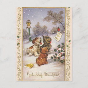 Sternsinger-Welpen Postkarte