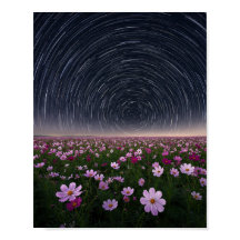 Sternspuren Kosmos Blumenfeld Nachthimmel Poster
