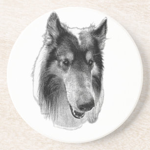 Stetige Oberfläche – Collie Getränkeuntersetzer