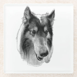 Stetige Oberfläche – Collie Glasuntersetzer