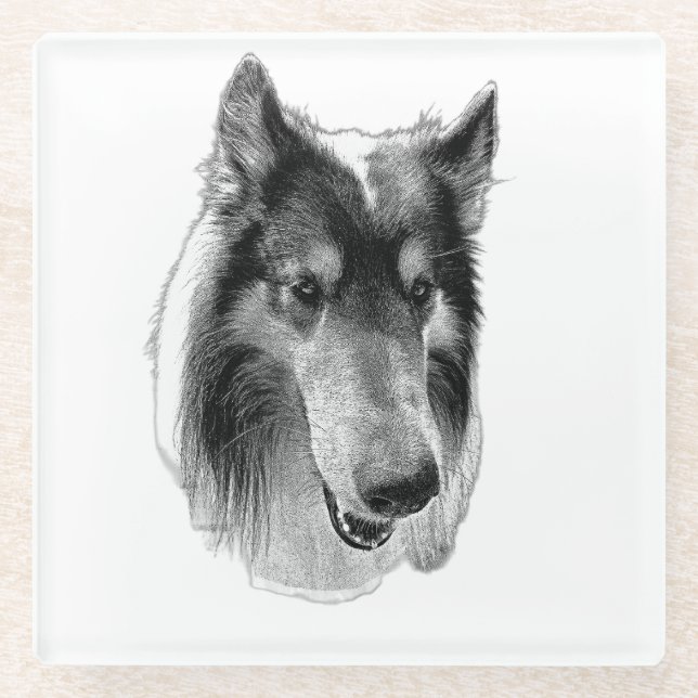 Stetige Oberfläche – Collie Glasuntersetzer (Vorderseite)