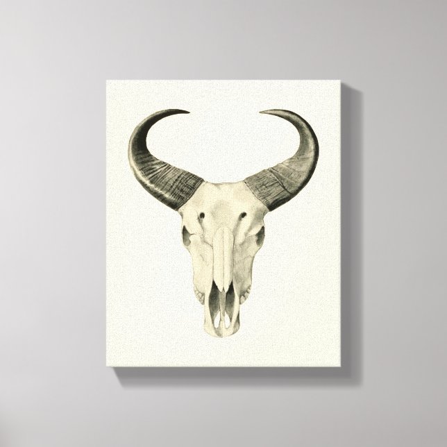 Steve Skull Canvas Print Leinwanddruck (Vorderseite)