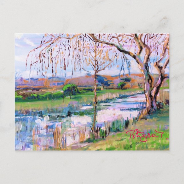 Steyning West Sussex Postkarte (Vorderseite)
