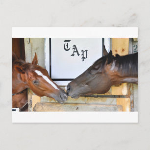 Stich mich abspulen postkarte