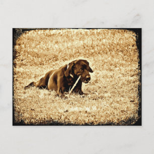 Stick Postkarte