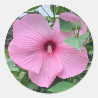 STICKEN SIE ES - POWER DES PINKS RUNDER AUFKLEBER