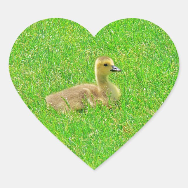 Sticker (Vorderseite)