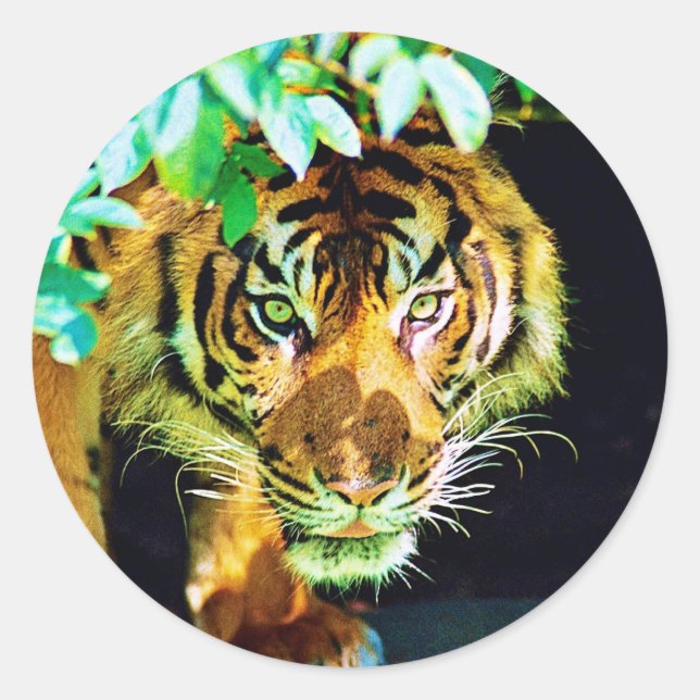 Sticker (Vorderseite)