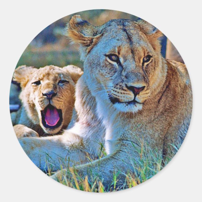 Sticker (Vorderseite)