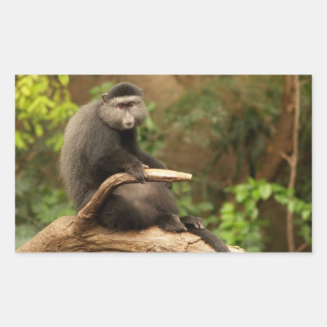 Sticker (Vorderseite)