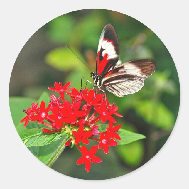 Sticker (Vorderseite)