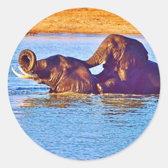 Sticker (Vorderseite)