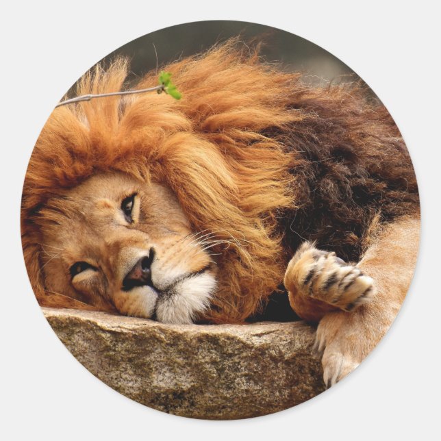 Sticker (Vorderseite)