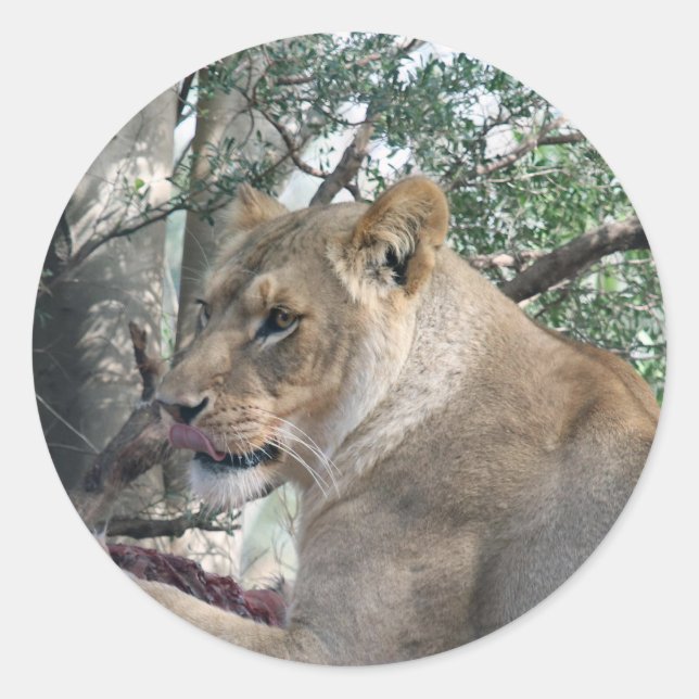 Sticker (Vorderseite)