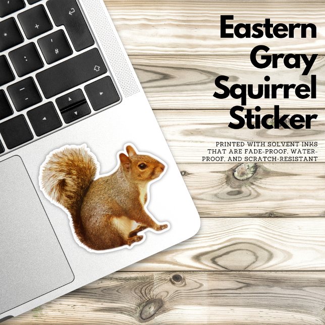 Sticker (Eastern Gray Squirrel, squirrel sticker, nature sticker, wildlife sticker, outdoor sticker, vinyl )