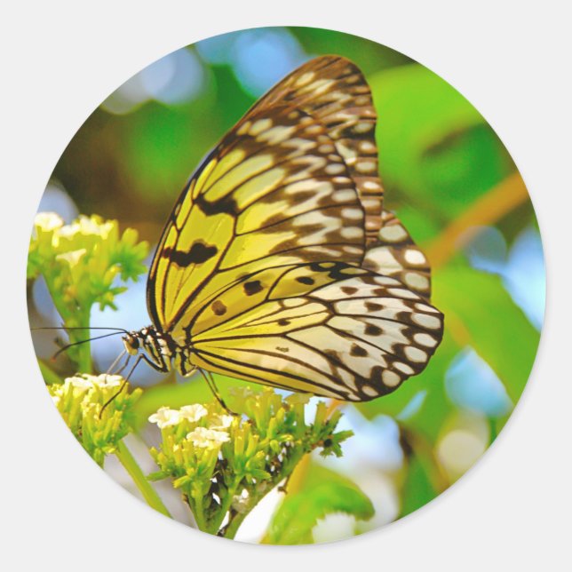 Sticker (Vorderseite)