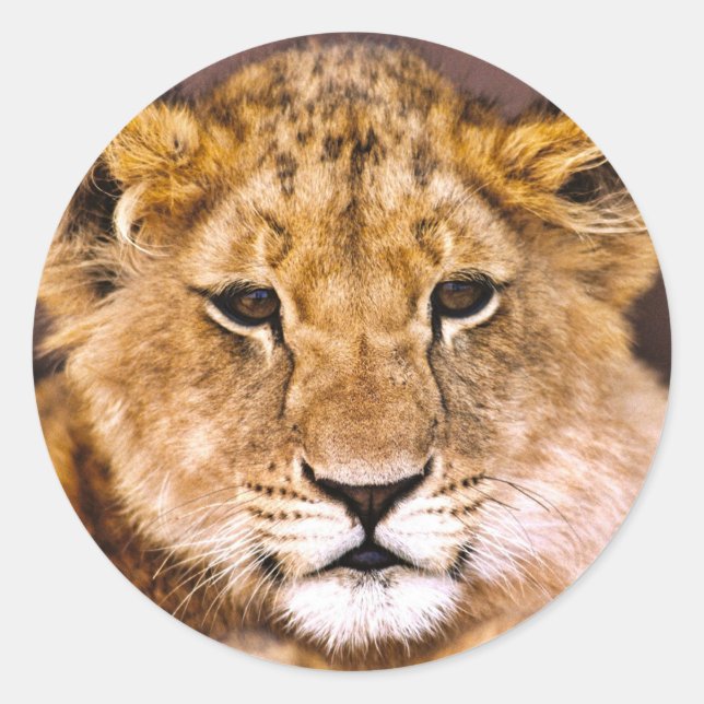 Sticker (Vorderseite)