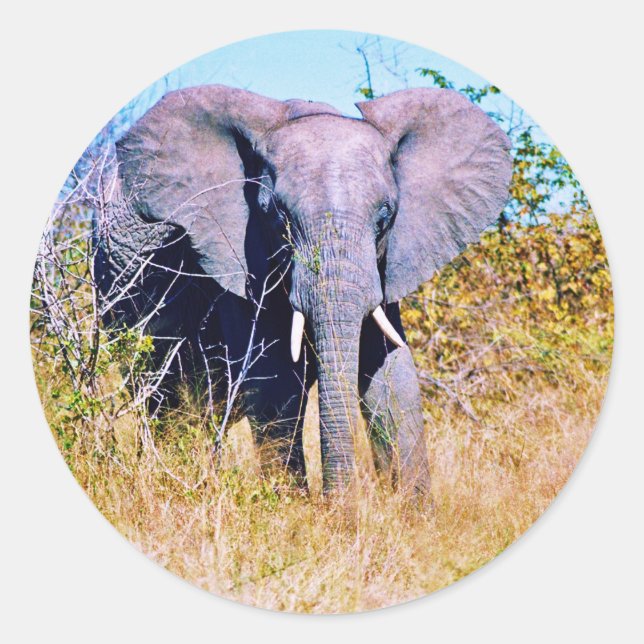 Sticker (Vorderseite)